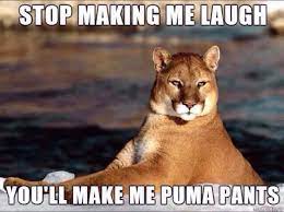 Seriously I M Prairie Dogging It Imgur