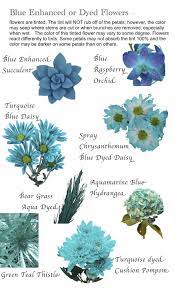 These common wild blue flowers are also called 'bachelor's button. Flower Names By Color Flower Names Blue Flower Names Dyed Flowers