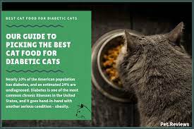 Check spelling or type a new query. 11 Best Cat Foods Lower Carb For Diabetic Cats In 2021 In 2021 Diabetic Cat Food Best Cat Food Dry Cat Food
