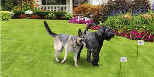 The typical cost to install an invisible dog fence is between $950 and $1500. Superior To Invisible Fence