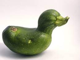 Send them to me at: What To Do With Extra Zucchini Delishably