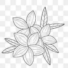 White Flower Black Ice Background In 2020 Flower Line Drawings Bunch Of Flowers Drawing Pencil Drawings Of Flowers