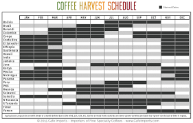 Coffee Harvest Schedule Coffee Study Harvest Cafe Coffee