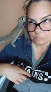 My little friends just had breakfast and one of them groomed him/herself  under the cold sunshine 🌞