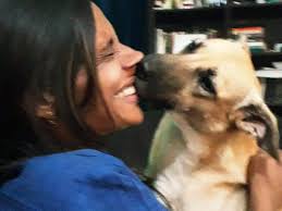 Which Hechi and Soul Friends character to bring home?