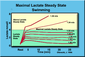 lactate testing and the lactate and anaerobic thresholds