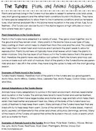 10 Tundra Ideas Tundra Biomes Biomes Project