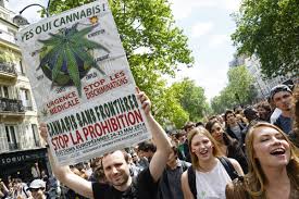 Le 14 mai 2016, la 15e marche mondiale pour le cannabis, qui appelle à la légalisation de la marijuana, à paris. Cannabis Vers Une Depenalisation En France Forbes France
