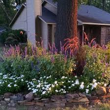 Purple spire columnar crabapple will grow to be about 15 feet tall at maturity, with a spread of 6 feet. Why I Love Mystic Spires Salvia The Good Earth Garden Center
