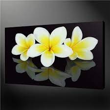 Wall Art Painting Pictures Print On Canvas Black And White Frangipani Flowers Wall Design The Picture For Home Decorati Painting Frangipani Art Canvas Painting