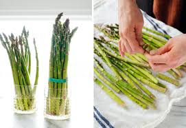 Image result for Asparagus devenishii