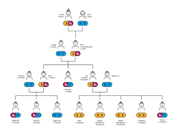 Unser stammbaum gibt einen überblick über die britische königsfamilie. Geschichte Der Hamophilie Myhaemophilie