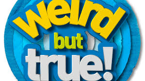 From fake facts to funny, interesting facts,. Logos And Key Art Dmed Media