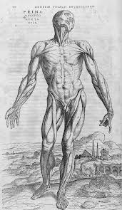 The Renaissance Tradition Of Using Cadavers In Drawing Classes Is Still Alive Artsy Here presented 44+ sitting poses drawing images for free to download, print or share. renaissance tradition of using cadavers