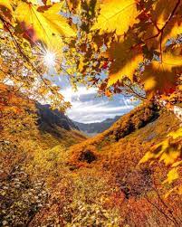 Colorful Autumn In Japan Landscape Photography By Daisuke Uematsu Autumn Landscape Earth Photography Landscape Photography