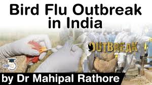 India tv news desk new delhi published on: Bird Flu Outbreak In India 2021 What Is H5n1 Avian Influenza Upsc Ias Youtube