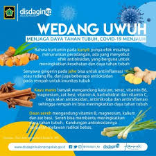 Daya tahan tubuh atau sistem kekebalan tubuh merupakan salah satu sistem penting dalam tubuh yang berperan sebagai proteksi bagi tubuh. Disdagin Kp Wedang Uwuh Menjaga Daya Tahan Tubuh Covid19 Menjauh