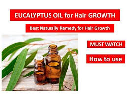 Eucalyptus Oil For Hair Growth Stop Hair Fall Secrets Youtube In 2020 Hair Growth Oil Eucalyptus Oil Eucalyptus Oil Uses
