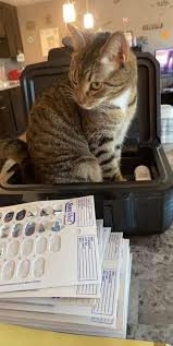 Our mission is to provide our clients and their dogs and cats with exceptional veterinary care in a warm, friendly. Allen Veterinary Hospital 5026 Decatur Road Fort Wayne Reviews And Appointments Topvet