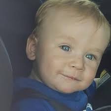 Fundraiser for Jyarnicka Fabar by Breanna Connolly : In loving memory of  jarrah ❤️