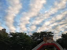 1:that2.club 2:rain3.info 3:like2.club 4:k.poo.li 5:c.800.my. å¤©ç©ºé©šç¾æ•´ç‰‡ åœ°éœ‡é›² çœŸçš„éœ‡äº† ç¶²åš‡ ç¥žé æ¸¬ æ±æ£®æ–°èž