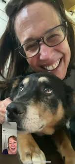 Lost dog found in Tennessee after 19 days missing