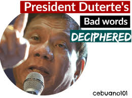 RUMINATIONS & PEREGRINATIONS