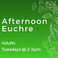 Afternoon Euchre event image