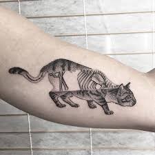 We did not find results for: 10 Cat Skeleton Diagram Tattoo Idea Cat Skeleton Scientific Illustration Animal Skeletons