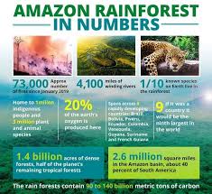 Amazon Rain Forest Fires Deforestation Desertification