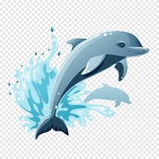 Maybe you would like to learn more about one of these? Blue Dolphin Illustration Dolphin Cartoon Drawing Dolphin Blue Marine Mammal Png Pngegg