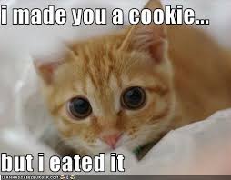 We did not find results for: Image 87062 I Made You A Cookie But I Eated It Know Your Meme