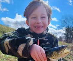 How the Eli Hart Case Looks from Either Side