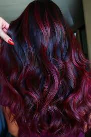 Plum Hair Color Ideas For Jaw Dropping Makeovers In 2020 Black Red Hair Black Hair With Red Highlights Wine Hair Color