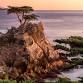 Pebble Beach Concours d’Elegance