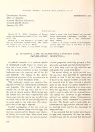 Image result for Oxyrhachis