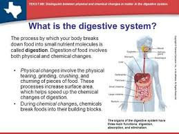 Pin On Digestive Health