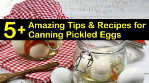 Homemade pickled eggs must be kept refrigerated at all times. 5 Amazing Tips Recipes For Canning Pickled Eggs