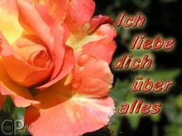 Ду бист ди либе майнес лебене. Coolphotos De Grusskarten Liebe Freundschaft Ich Liebe Dich