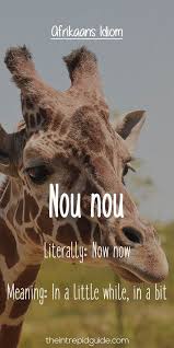 Pin On Learn Afrikaans