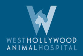 Metro pet hospital is one of these establishments. West Hollywood Animal Hospital