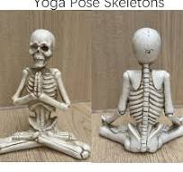 Amazon.com: QIAOIDEA Set of 3 Yoga Skeletons Statue Bone ...