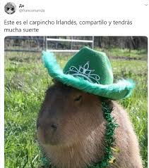 Maybe you would like to learn more about one of these? El Insolito Furor Por Los Carpinchos En Las Redes Sociales