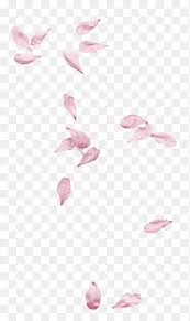Free Floating Cherry Blossom Petals Pull Material Float Petal Png Pngegg Red, yellow, and pink paint, watercolor painting orange magenta, watercolour, texture, blue. free floating cherry blossom petals