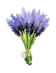 Lavendel Kunstdruck Lavendel Bouquet Wanddekoration Blumen Aquarellmalerei Auftrag Aquarellmalerei A Acuarela Floral Pintura Floral Flores Acuarela