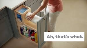 Deriving from the french word paneterie which stems from pain (french for bread. Kraftmaid Auto Open Base Cleaning Cabinet Youtube