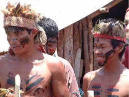 Guarani — les indiens guarani constituent les groupes les plus méridionaux de la famille tupi, la plus largement distribuée sur le continent sud américain au temps de sa découverte. Www Agp Org Archivos De Los Protestos Globales Indigenas Guarani