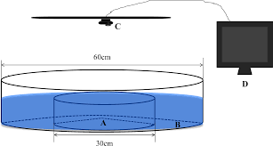 Two atria and two ventricles. The Behavioral Response Of Prey Fish To Predators The Role Of Predator Size Peerj
