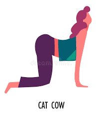 Upload, livestream, and create your own videos, all in hd. Cat Cow Yoga Stock Illustrations 81 Cat Cow Yoga Stock Illustrations Vectors Clipart Dreamstime