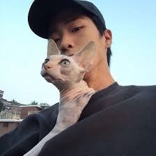 Hasil gambar untuk korean boy